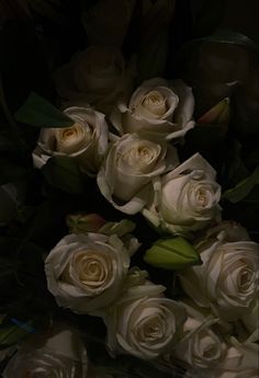 a bunch of white roses sitting on top of each other