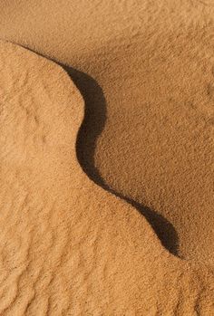 the shadow of a person standing on top of a sand dune in the desert,