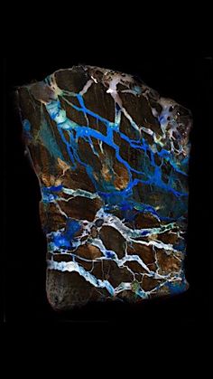 Watercolour Reference, Inspiration Pics, Rock Tumbler, Petrified Wood, Gems And Minerals, Boulder Opal, Rocks And Crystals, Crystals And Gemstones, Online Jewelry