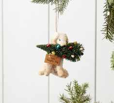 a christmas ornament hanging from a tree with a teddy bear holding a fir branch