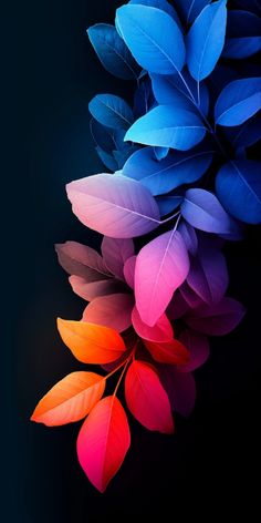 colorful leaves on a black background