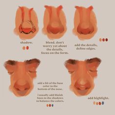 the different stages of nose shapes and how they are used to make them look like noses