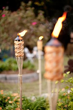 two fire torches in the middle of a garden