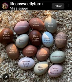 a bunch of eggs that are sitting on some wood shavings with the names of them