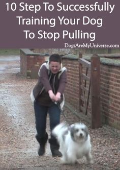 a man walking his dog down a path with the words 10 step to successfully training your dog to stop pulling