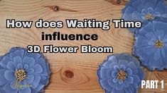 three blue flowers sitting on top of a wooden table next to text that reads how does waiting time influence 3d flower bloom?