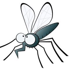 cartoon mosquito with eyes and legs