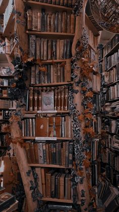 a bookshelf filled with lots of books next to a wall covered in ivy