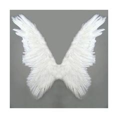 white angel wings on a gray background