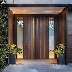 two planters in front of the entrance to a modern home with wood paneling and glass doors