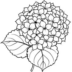 a bouquet of flowers with leaves coloring page