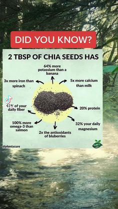 Chia Seeds Health Benefits, Chia Seed Health Benefits, بذور الشيا, Chia Benefits, Seeds Benefits, Seed Recipes, Liver Diet, Magnesium Benefits