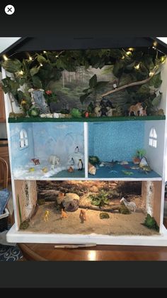 a fish tank filled with lots of different types of animals and plants on top of it