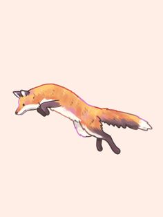 a drawing of a fox flying in the air with it's tail curled up