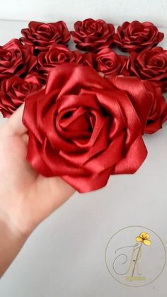 a hand holding a bunch of red roses