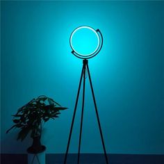 a plant is sitting next to a blue light on a tripod in the dark