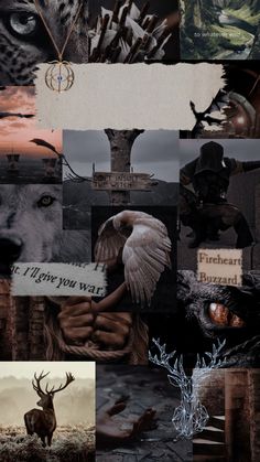 a collage of different pictures with animals and trees