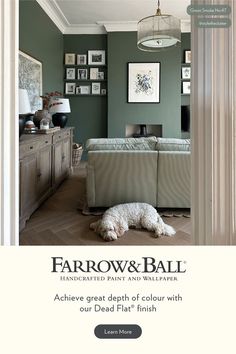 an advertisement for farrow and ball furniture with a dog laying on the floor in front of it