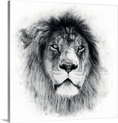 a black and white photo of a lion's face