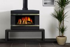 a black stove with flames in it next to a potted plant and pictures on the wall