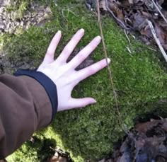 a person's hand reaching out towards the ground with moss growing on it and leaves around them