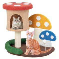 a cat sitting in front of a mushroom house