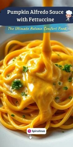 Pumpkin Alfredo Sauce with Fettuccine Autumn Pasta, Pumpkin Alfredo Sauce, Reheat Pasta, Comfort Pasta Dishes, Pumpkin Alfredo, Dinner Party Dishes, Hearty Casseroles, Fall Comfort Food, Toasted Pumpkin Seeds