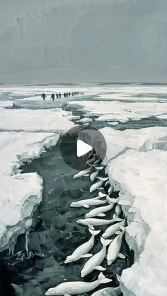 a group of people standing on top of an ice floet covered in snow