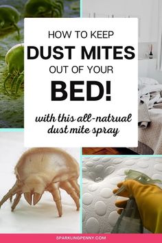 dust mite, dust mite spray, bedroom - pin is about how to clean dust mites from your mattress Bed Cleaner Mattress, Diy Mattress Cleaner, Homemade Mattress, House Deep Cleaning, Dust Mite Spray, Mattress Spray, Bed Spray, Mattress Cleaner, Diy Mattress