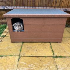 a small dog sitting in a large brown box on top of a stone floor next to a fence