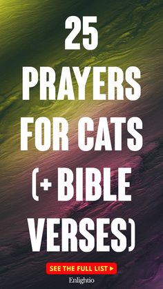 25 Prayers for Cats (+ Bible Verses)