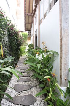 a stone path between two buildings with plants