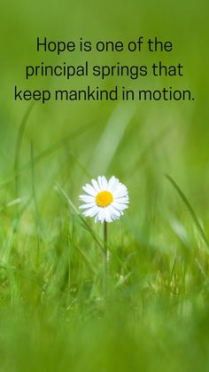 a white flower sitting in the grass with a quote above it that reads, hope is one of the principals that keep mankind in motion