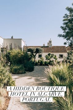 a path leading to a house with lots of plants and trees in front of it