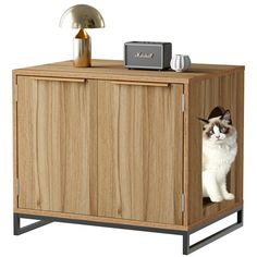 a cat sitting in a wooden cabinet with a radio on it's top shelf