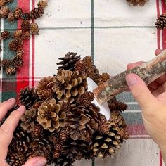 two hands are holding a piece of wood and some pine cones on a plaid tablecloth