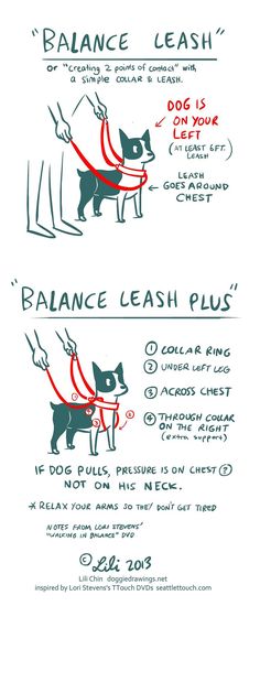 an instruction manual for how to use a dog leash