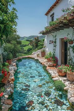 a small stream runs between two buildings with potted plants on the roof and below