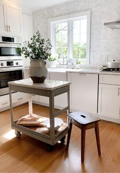 a kitchen with a potted plant on top of a cart next to a stove