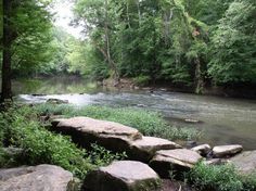 a river running through a forest filled with lots of green trees and rocks in the water