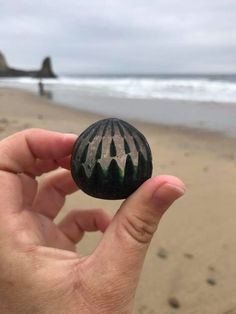 a hand holding a black rock with green and white designs on it at the beach