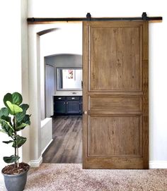 an open door leading to a kitchen and living room with potted plant on the floor