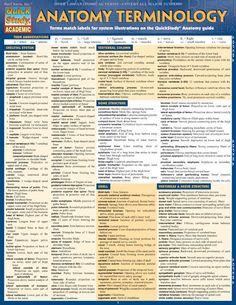 the anatomy and function of the human body, including its major functions in medical care