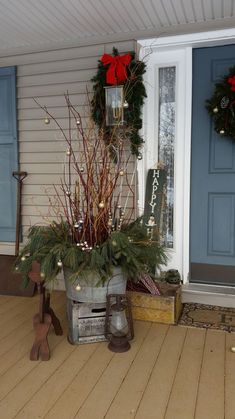 a potted plant sitting on top of a wooden floor next to a blue door