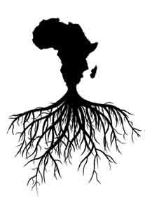 the silhouette of a tree with its roots exposed