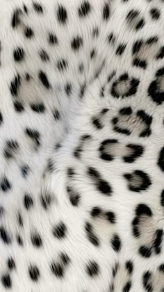 an animal with black spots on it's fur is seen in this close up photo