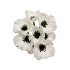 white and black flowers are in a vase