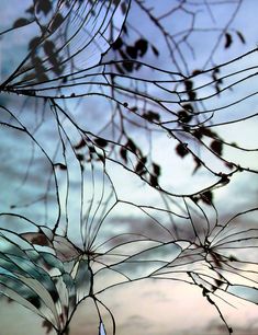 an artistic photo of leaves and sky in the background