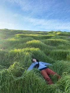 a person laying in the middle of tall grass