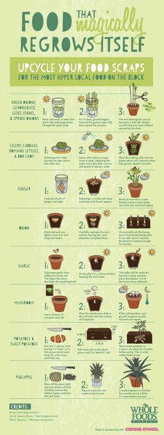 a poster showing the different types of plants and how to use them for gardening tips